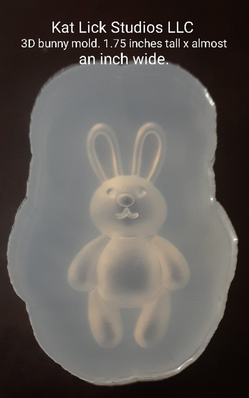 3D Bunny Mold made w/crystal clear silicone