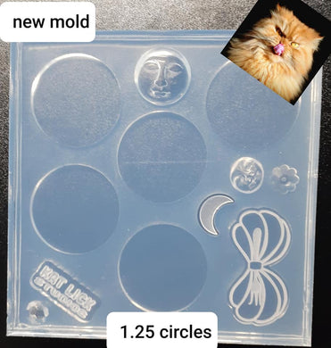 1.25x1/8  Circle Mold Made w/Crystal Clear Platinum Silicone