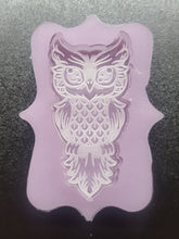 Load image into Gallery viewer, Etched Happy Owl Mold Made with Crystal Clear Platinum Silicone