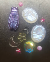 Load image into Gallery viewer, Scarabs and Cicada Mold made with Crystal Clear Platinum Silicone