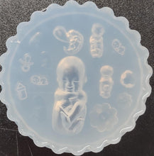 Load image into Gallery viewer, Exclusive! Stages of the Baby Pallet Mold Made w/Crystal Clear Platinum Silicone (read listing please)