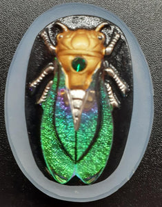 Beautiful 3D Cicada Mold Made w/Translucent Platinum Silicone