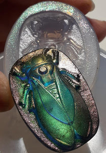 Beautiful 3D Cicada Mold Made w/Translucent Platinum Silicone