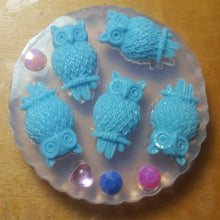 Load image into Gallery viewer, 5 Cavity Owl Crystal Clear Platinum Silicone Mold