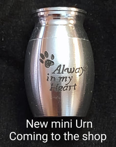 Mini Keepsake Urn Mold Made w/Crystal Clear Platinum Silicone #5