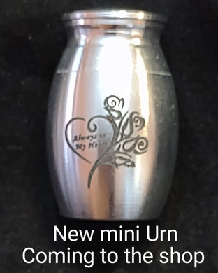 Mini Keepsake Urn Mold Made w/Crystal Clear Platinum Silicone #2