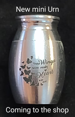 Mini Keepsake Urn Mold Made w/Crystal Clear Platinum Silicone #3