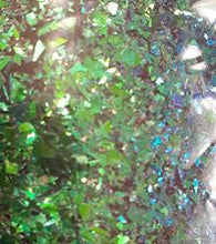 Load image into Gallery viewer, Peacock Bloom Color Shift Shards 1 gram pot