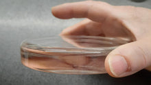 Load image into Gallery viewer, 1/2 Deep Coaster Mold (rounded edges)