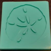 Sand Dollar Mold Made w/Crystal Clear Platinum Silicone