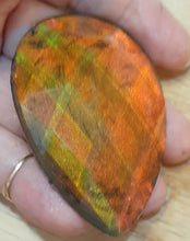 Load image into Gallery viewer, Super Shift Powder Forest Fire 1 gram